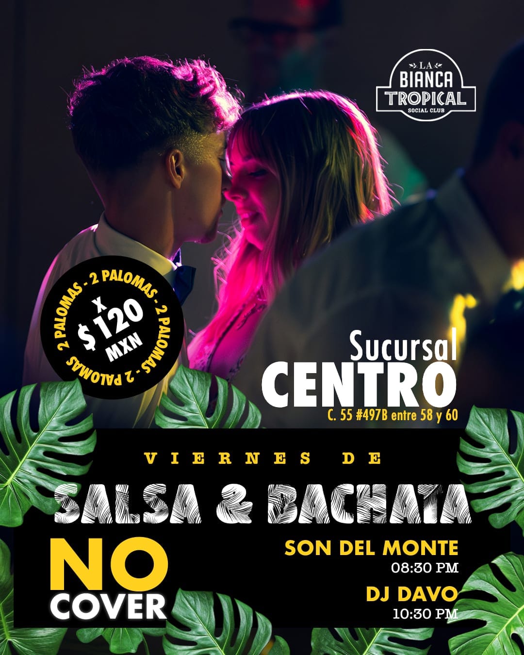 Viernes de Salsa & Bachata at La Bianca Tropical — Mérida